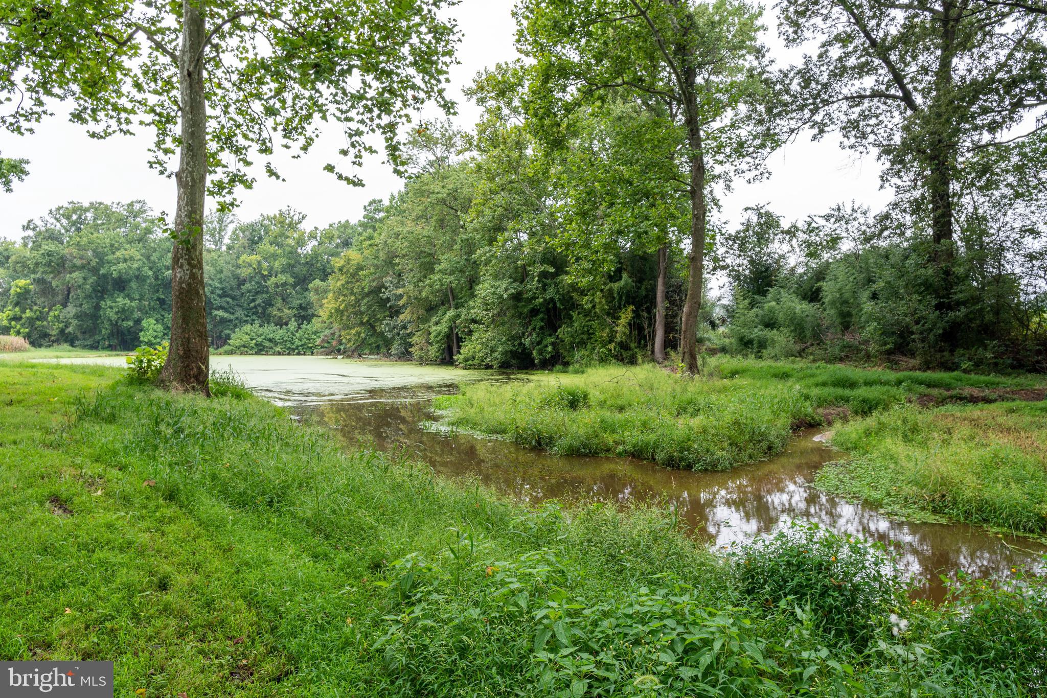 301 Wrights Neck Road Centreville, MD 21617 - Photo 35 of 70