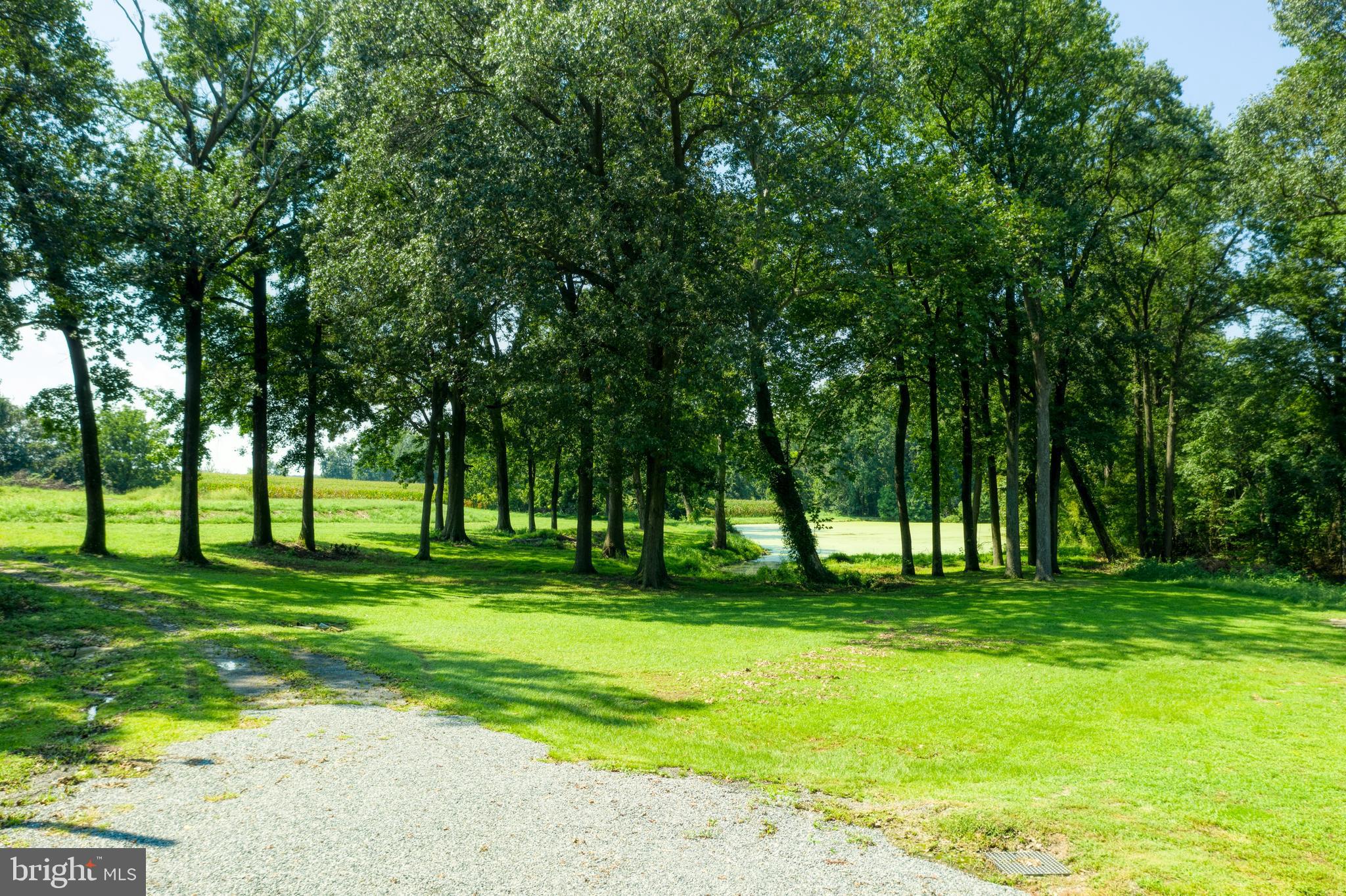 301 Wrights Neck Road Centreville, MD 21617 - Photo 37 of 70
