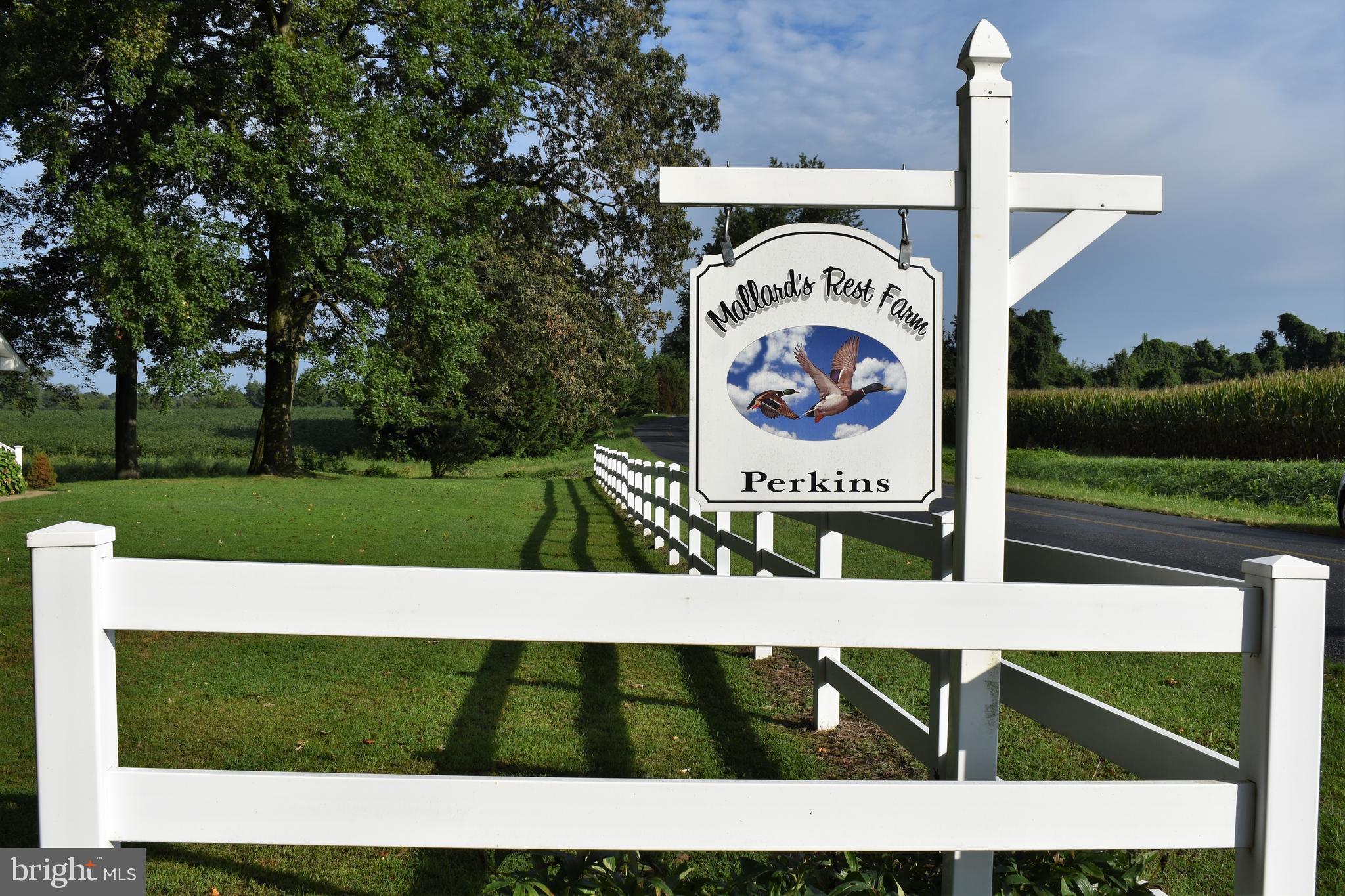 301 Wrights Neck Road Centreville, MD 21617 - Photo 64 of 70