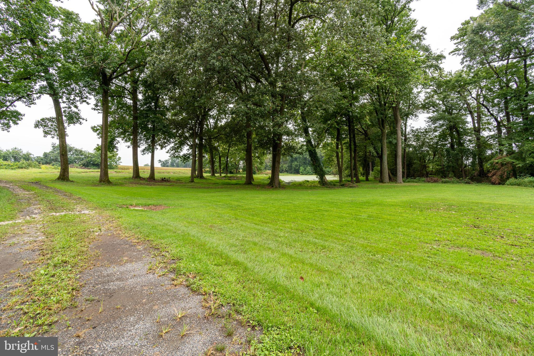 301 Wrights Neck Road Centreville, MD 21617 - Photo 66 of 70