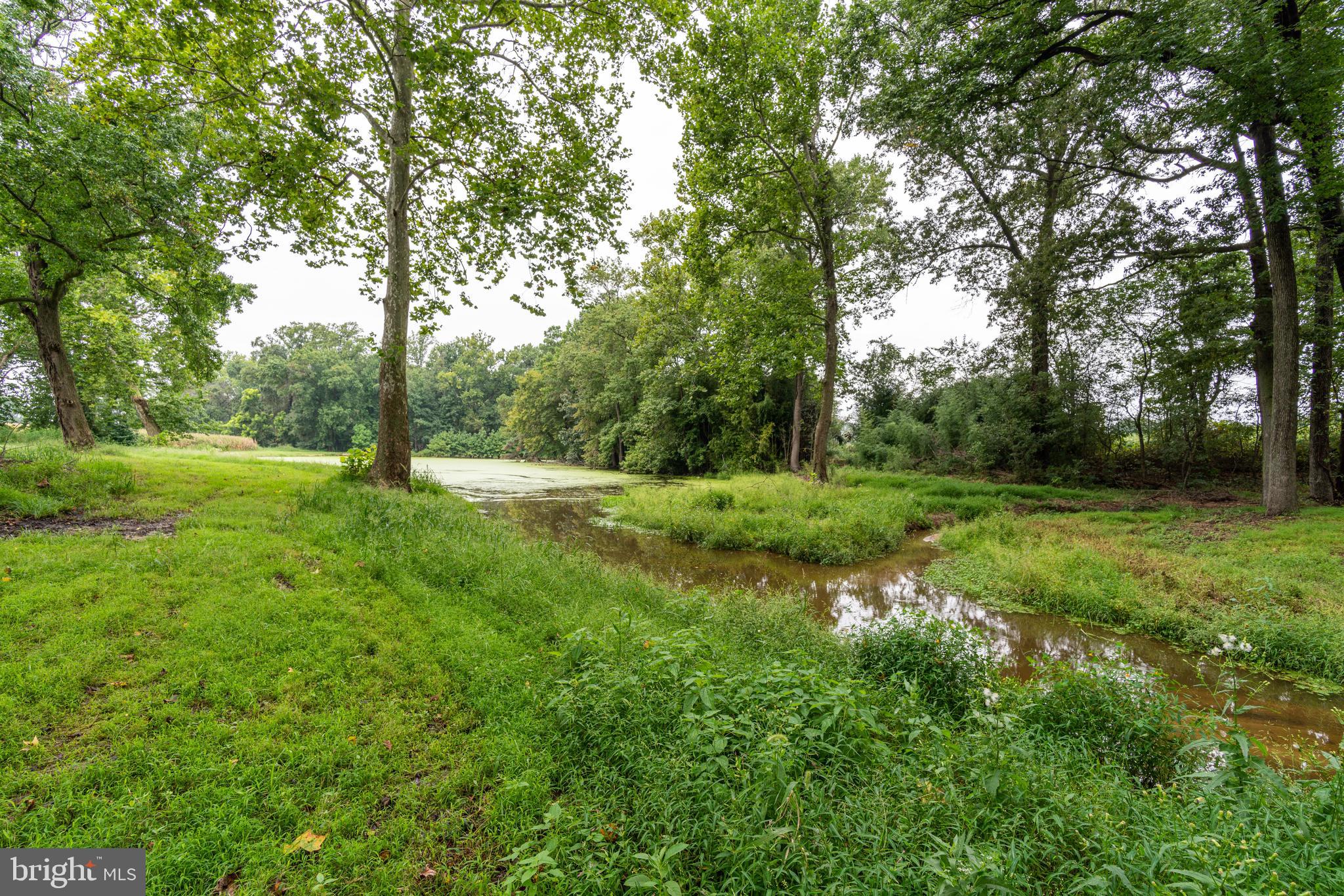 301 Wrights Neck Road Centreville, MD 21617 - Photo 67 of 70