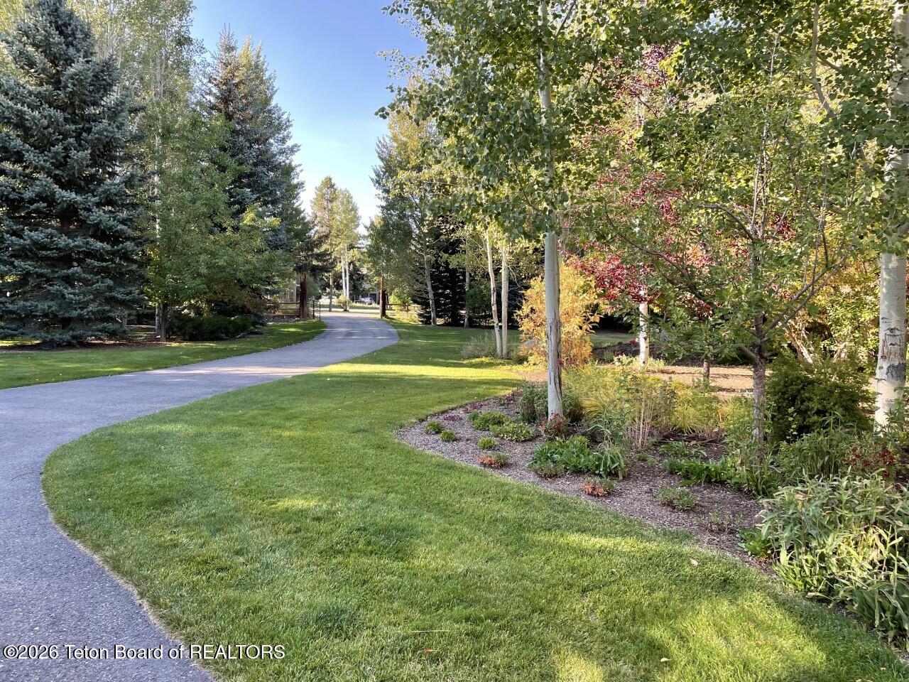 3650 North Meadow Road Jackson, WY 83001 - Photo 6 of 35 Driveway