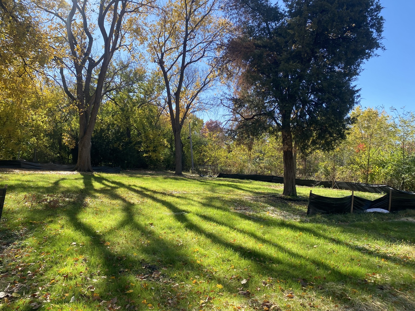 425 40th Street Downers Grove, IL 60515 - Photo 5 of 5 a view of swimming pool with table and chairs under an umbrella