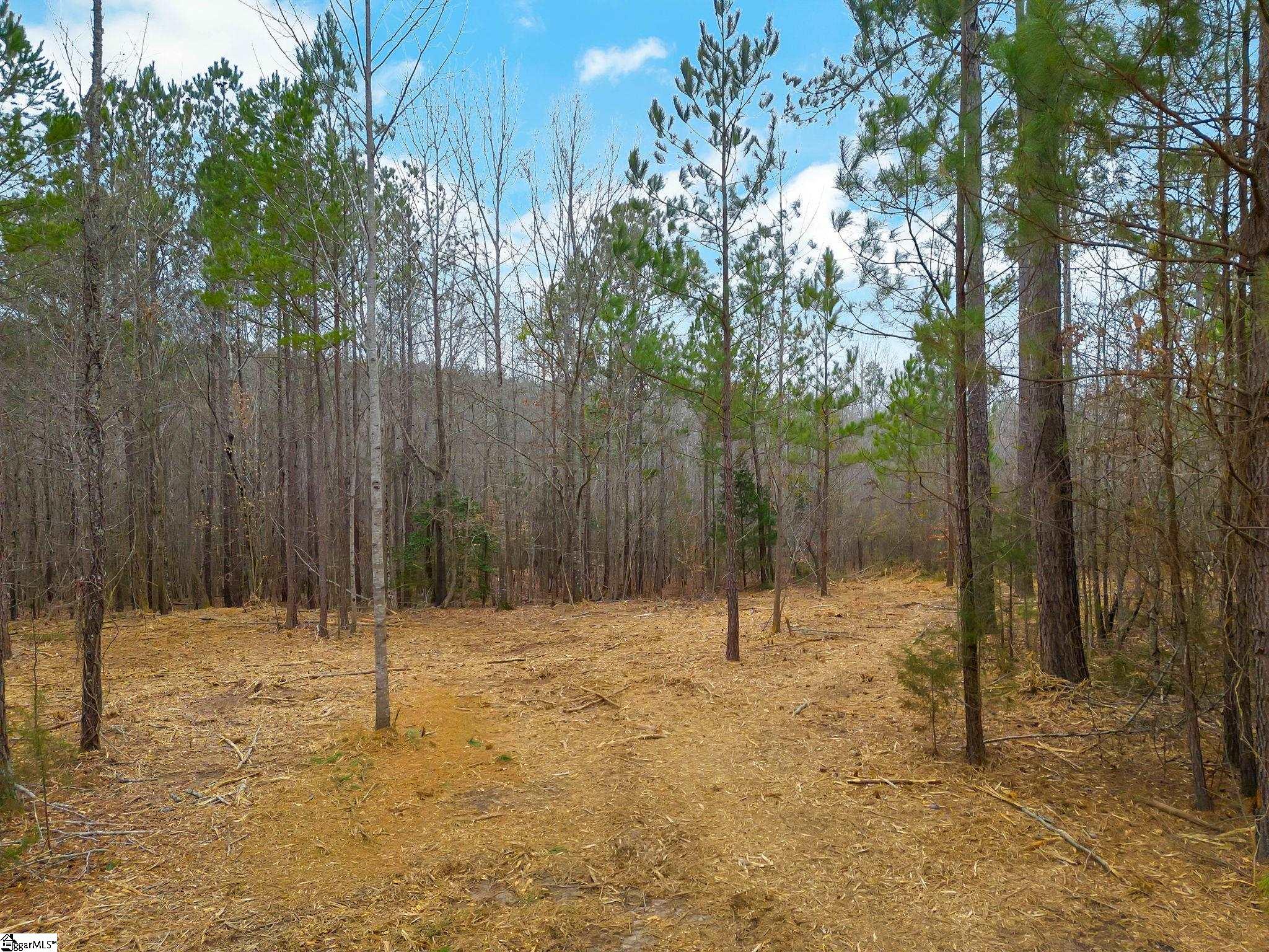 0 Mattison Road, Unit LOT 3 Belton, SC 29627 - Photo 8 of 16