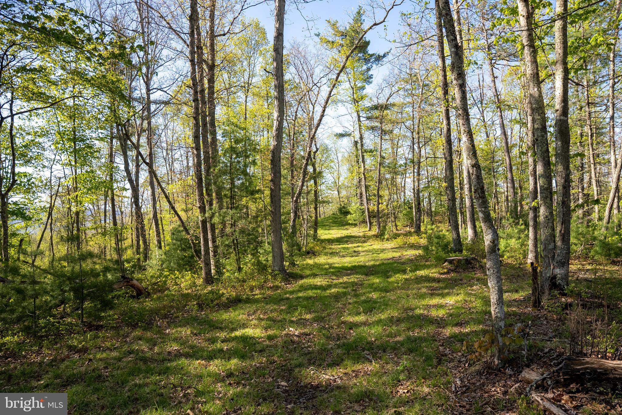 199 Green Bank Road Arbovale, WV 24915 - Photo 99 of 113
