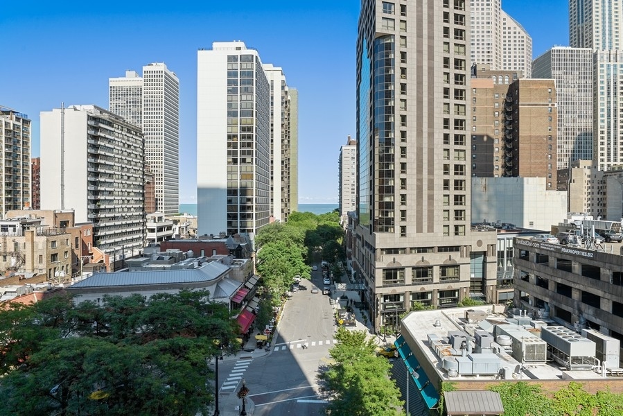 1030 North State Street, Unit 2GH Chicago, IL 60610 - Photo 13 of 15