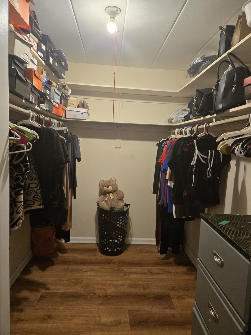 1141 Leavitt Avenue, Unit 115 Flossmoor, IL 60422 - Photo 18 of 18 a view of walk in closet with clothes and shoes