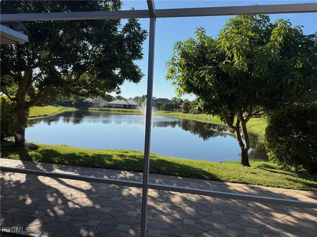 a view of a lake with a large trees