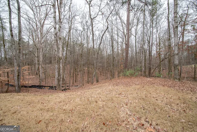 $529,000 | 75 Ironwood Way, Midland, GA 31820