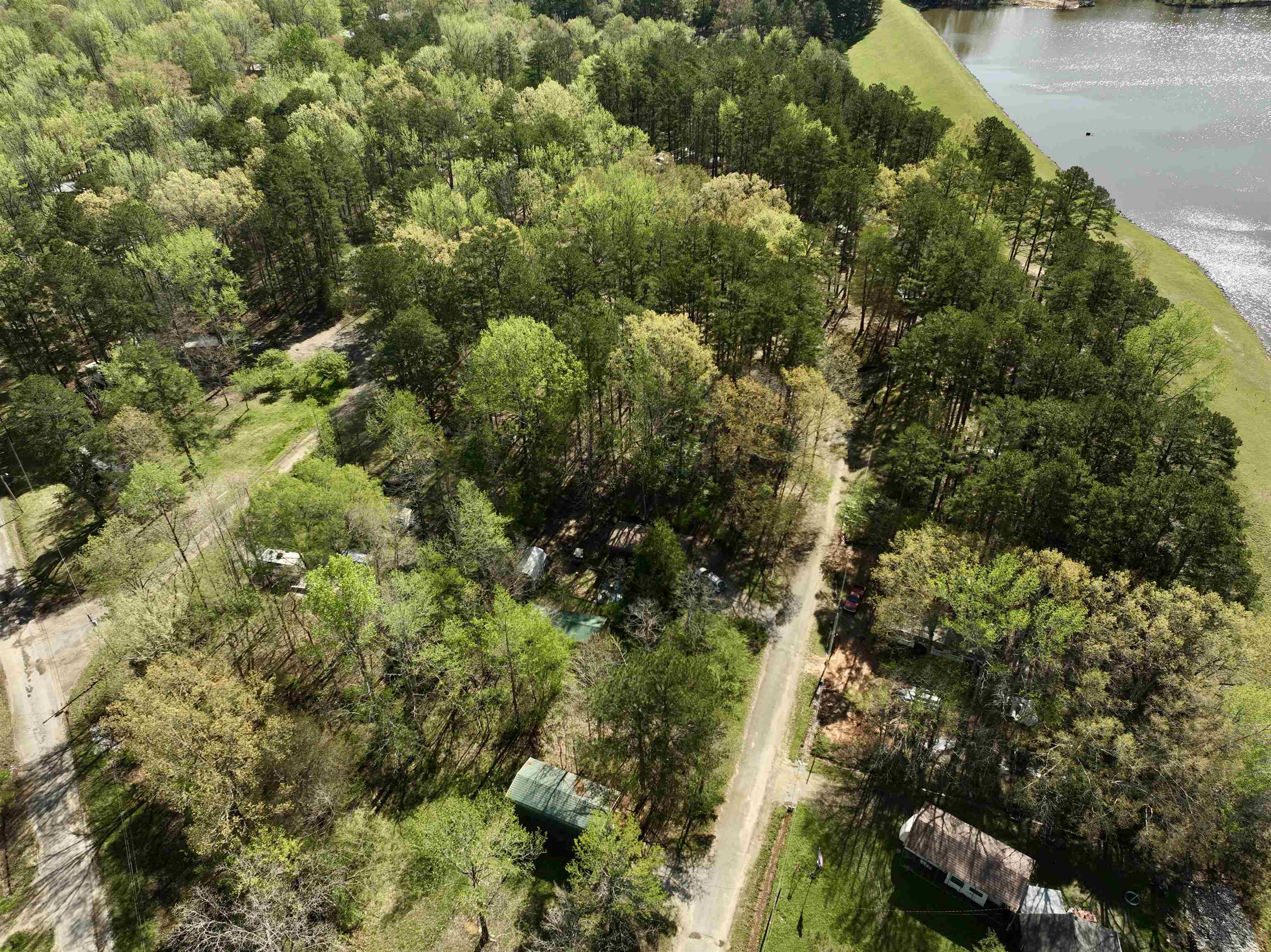 54 Campfire Cove, Unit C54 Middleton, TN 38052 - Photo 4 of 15 a view of a forest with a tree