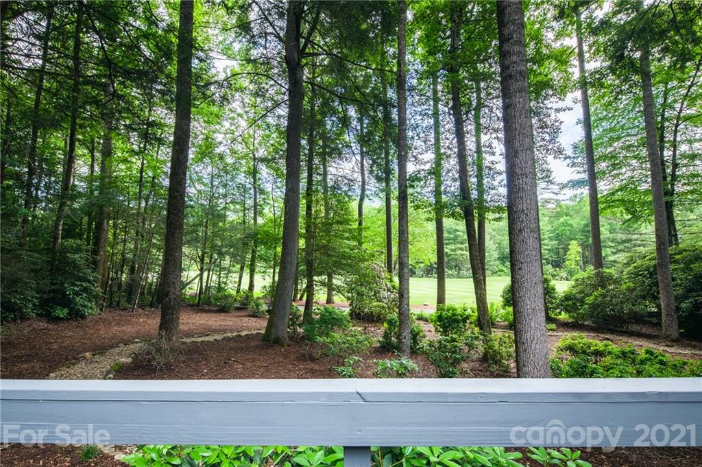 144 Boiling Springs Road Sapphire, NC 28774 - Photo 28 of 33 Gallery Image 28
