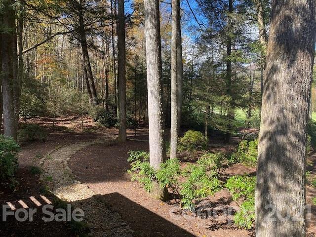 144 Boiling Springs Road Sapphire, NC 28774 - Photo 32 of 33 Gallery Image 32