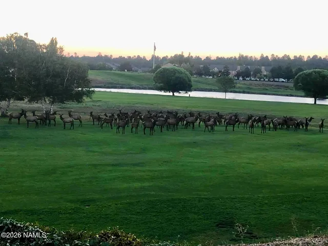 $992,000 | 3194 North Riviera Way, Flagstaff, AZ 86004