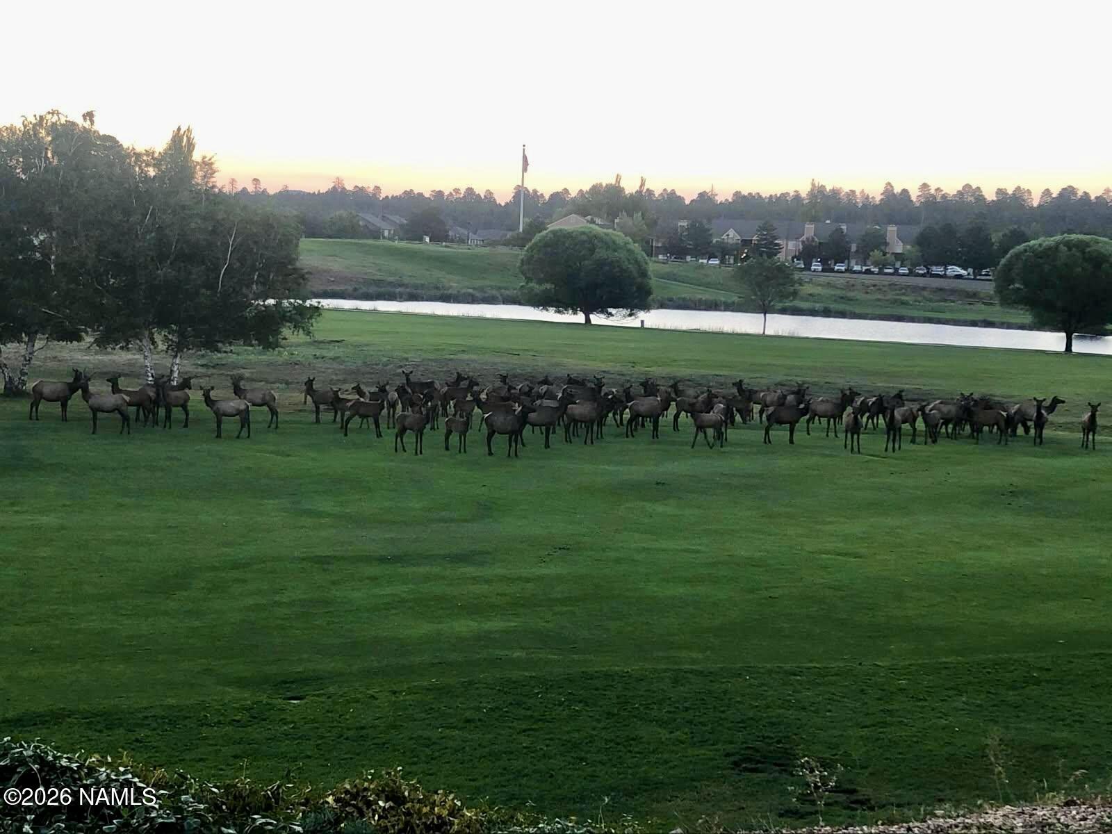 3194 North Riviera Way Flagstaff, AZ 86004 - Photo 60 of 60 5