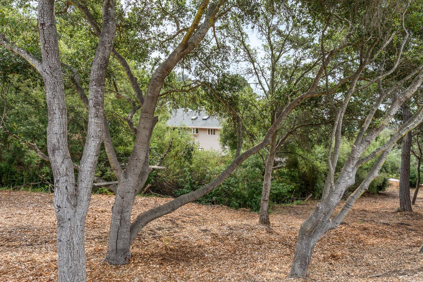 480 Hidden Valley Road Soquel, CA 95073 - Photo 51 of 72 a view of a house with a tree