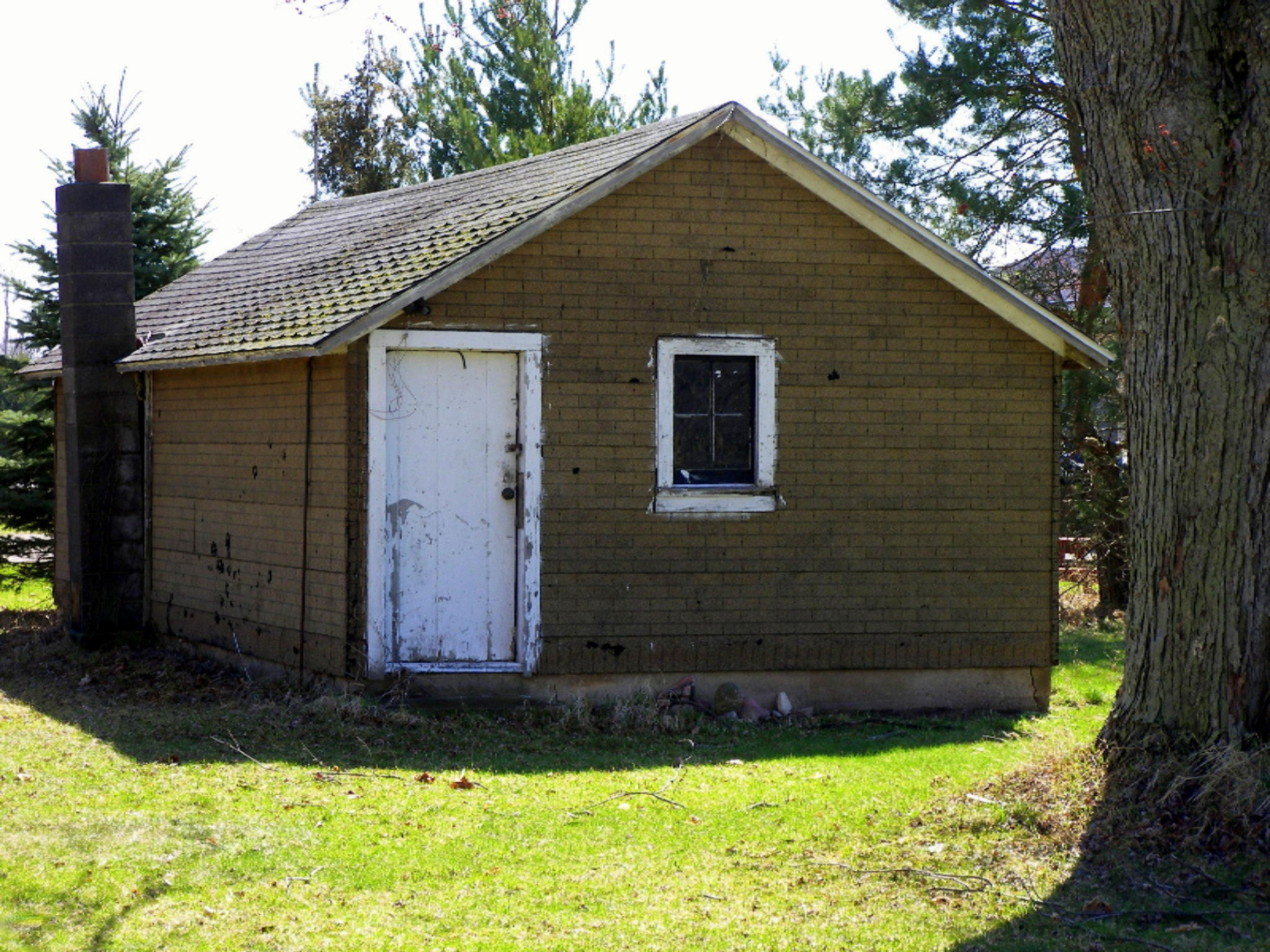7384 Whites Bridge Road Belding, MI 48809 - Photo 5 of 20 100_4875