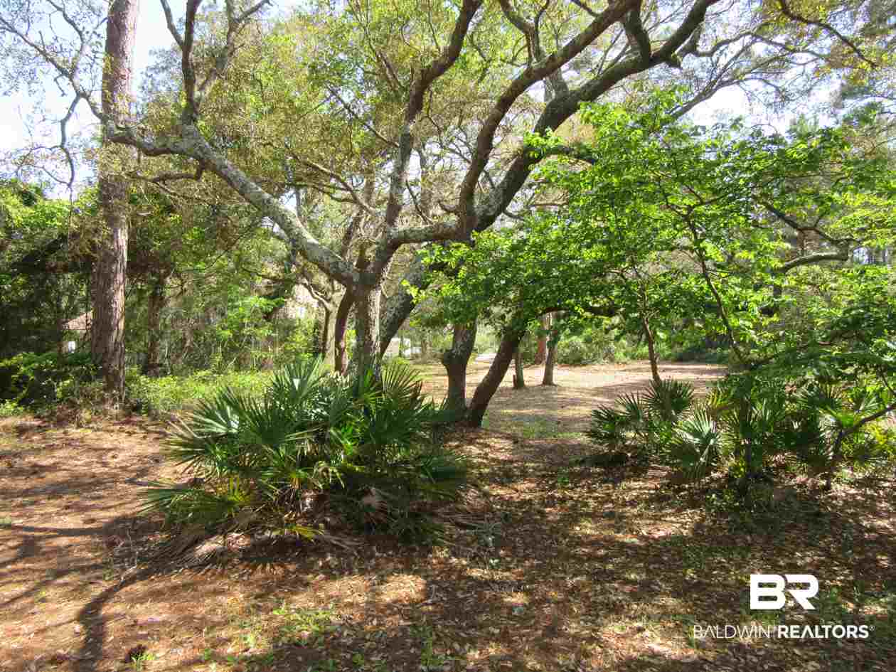 Strong Road Gulf Shores, AL 36542 - Photo 6 of 21