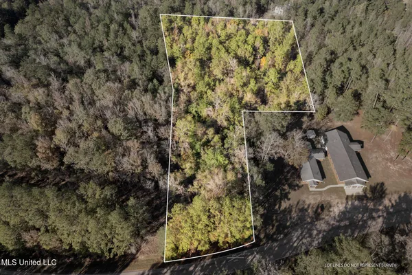 $41,500 | 3.01 Acres Old Okahola School Road, Purvis, MS 39475