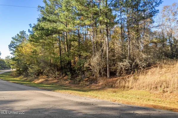 $41,500 | 3.01 Acres Old Okahola School Road, Purvis, MS 39475