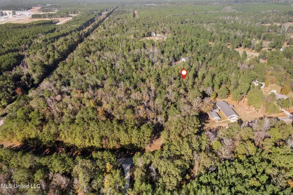 $41,500 | 3.01 Acres Old Okahola School Road, Purvis, MS 39475