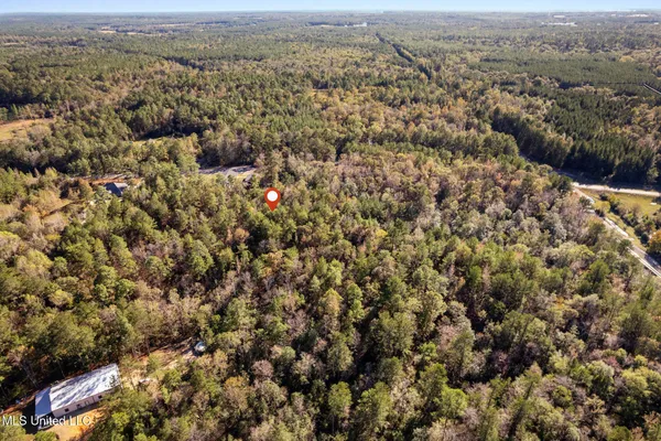 $41,500 | 3.01 Acres Old Okahola School Road, Purvis, MS 39475
