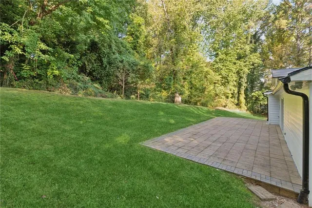 a view of a yard with plants