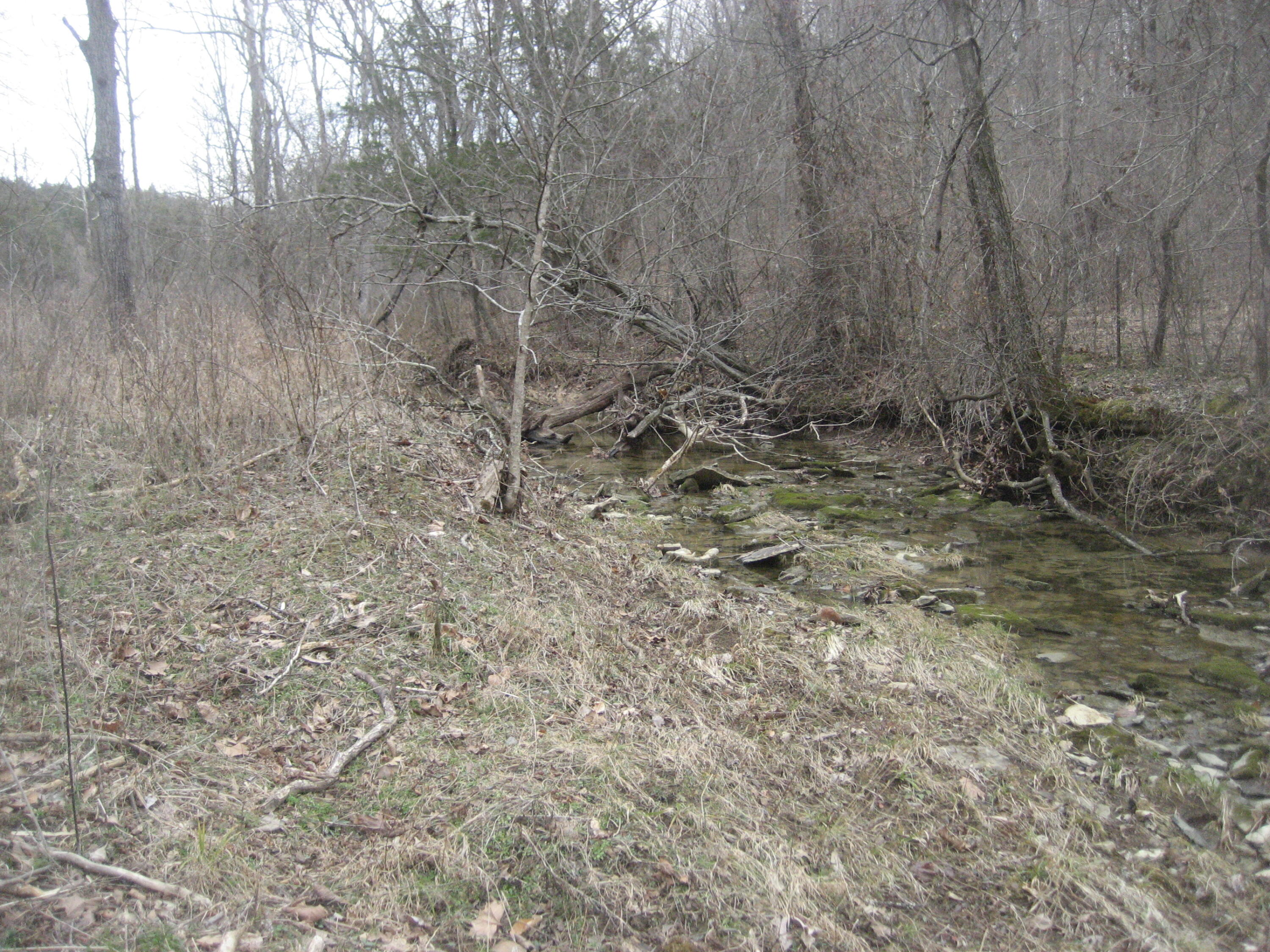 1235 Rutherford School Road Lawrenceburg, KY 40342 - Photo 19 of 31 IMG_1359