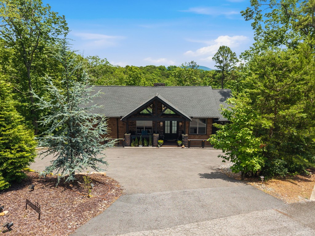 254 Leatherwood Mountain Road Cherry Log, GA 30522 - Photo 4 of 103