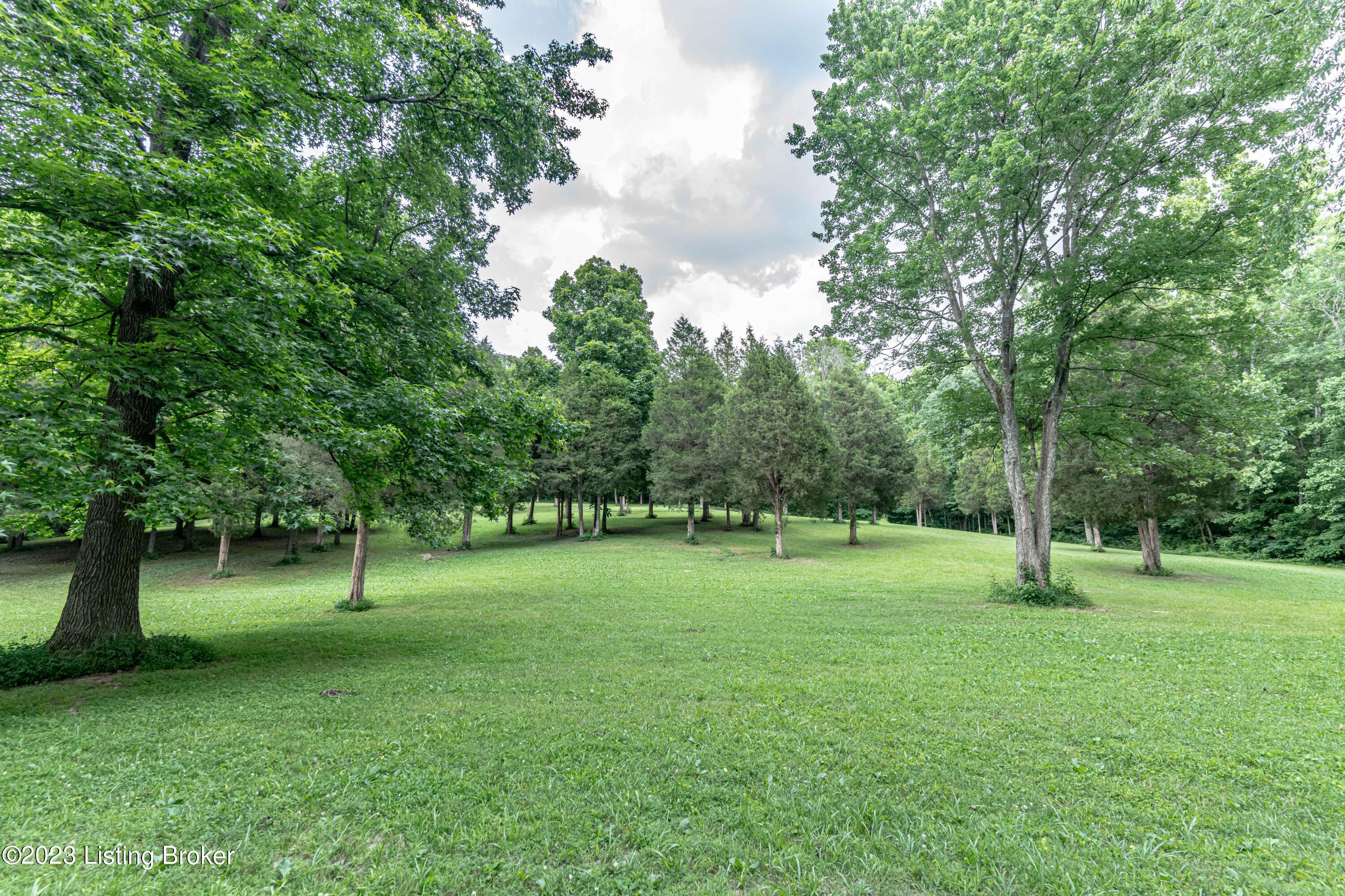 785 Green Farm Road Falls Of Rough, KY 40119 - Photo 31 of 33 DSC06037