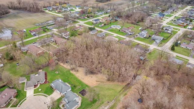 a picture of flowers with lots of trees