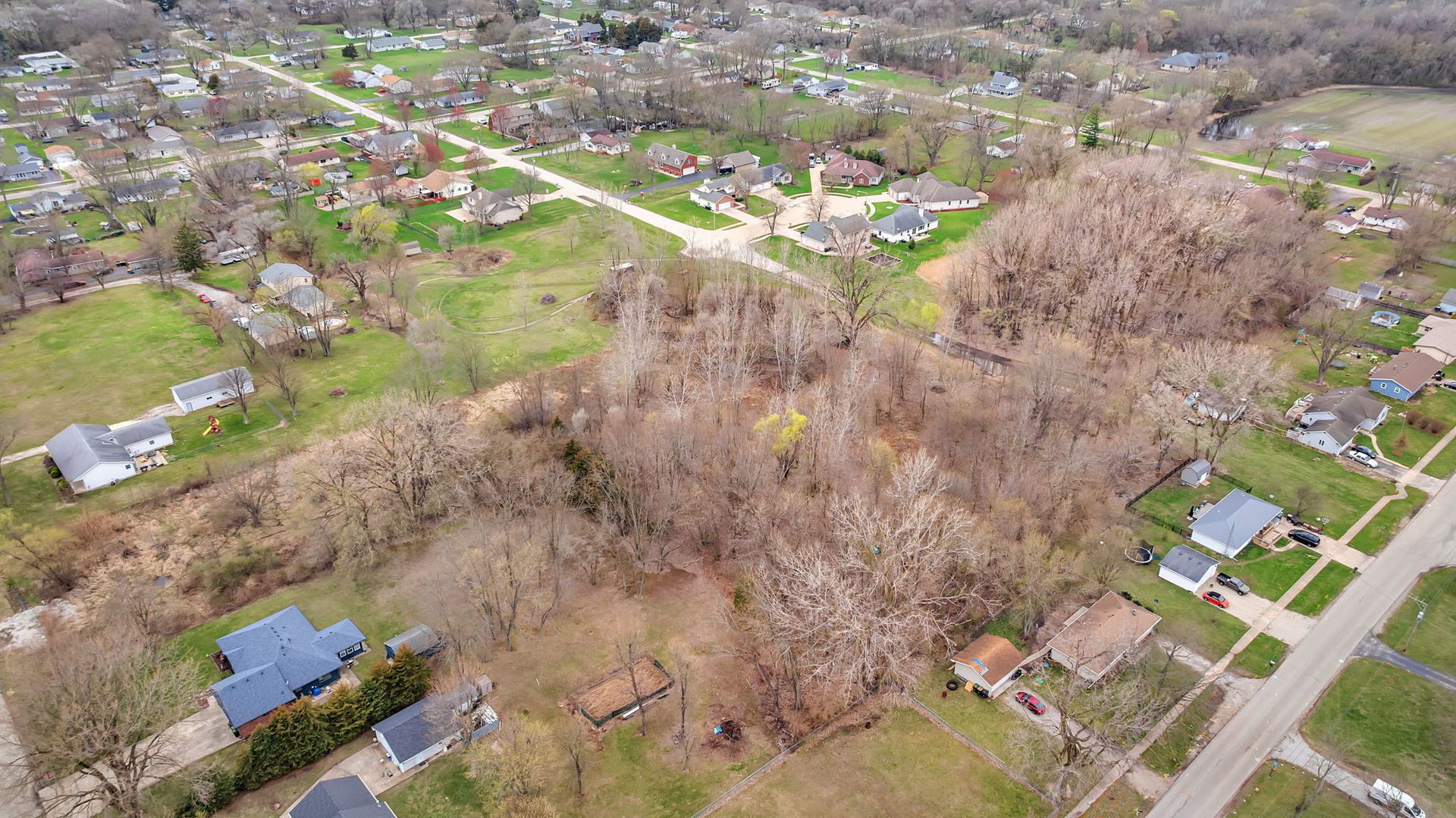 464 Todd Court Braidwood, IL 60408 - Photo 9 of 20 a picture of flowers with lots of trees