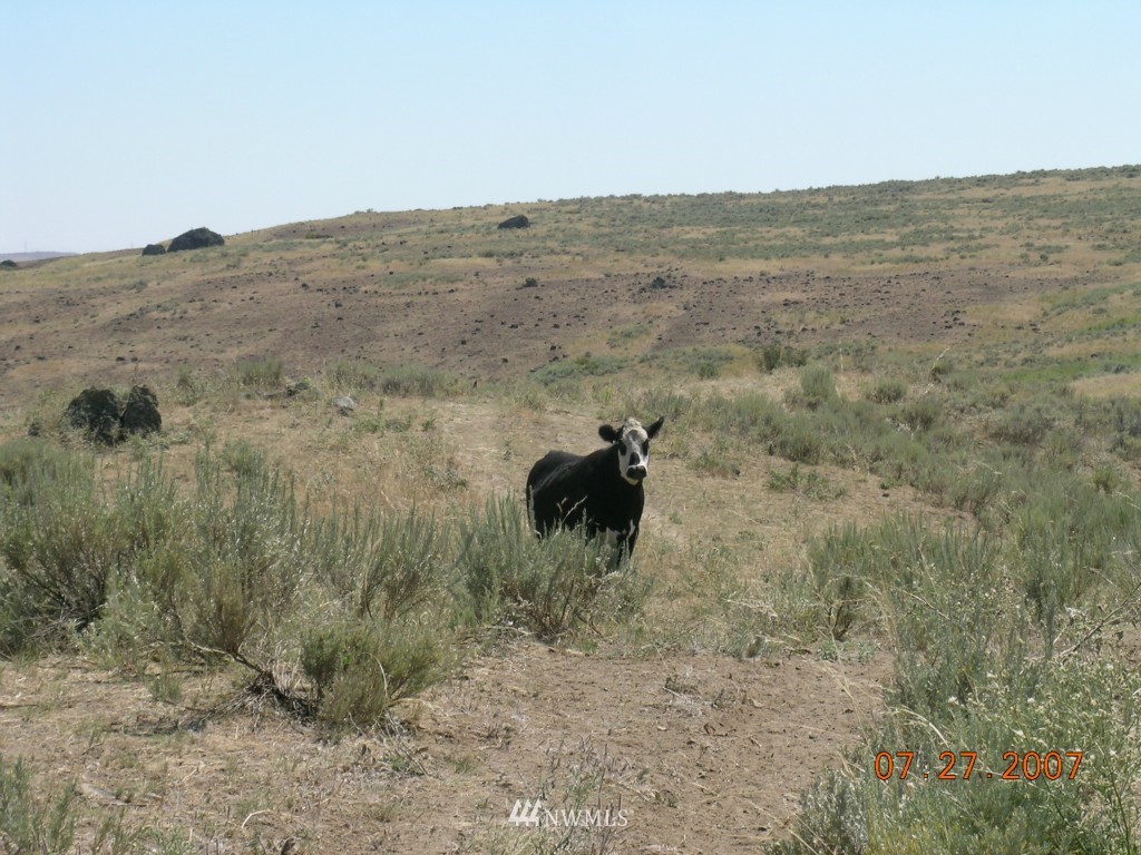 0 Delfeld Road Bridgeport, WA 98813 - Photo 3 of 6 Gallery Image 3