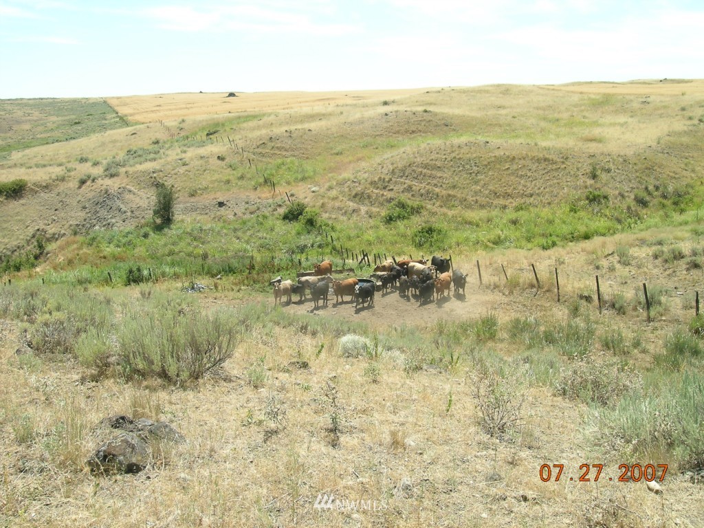 0 Delfeld Road Bridgeport, WA 98813 - Photo 6 of 6 Gallery Image 6