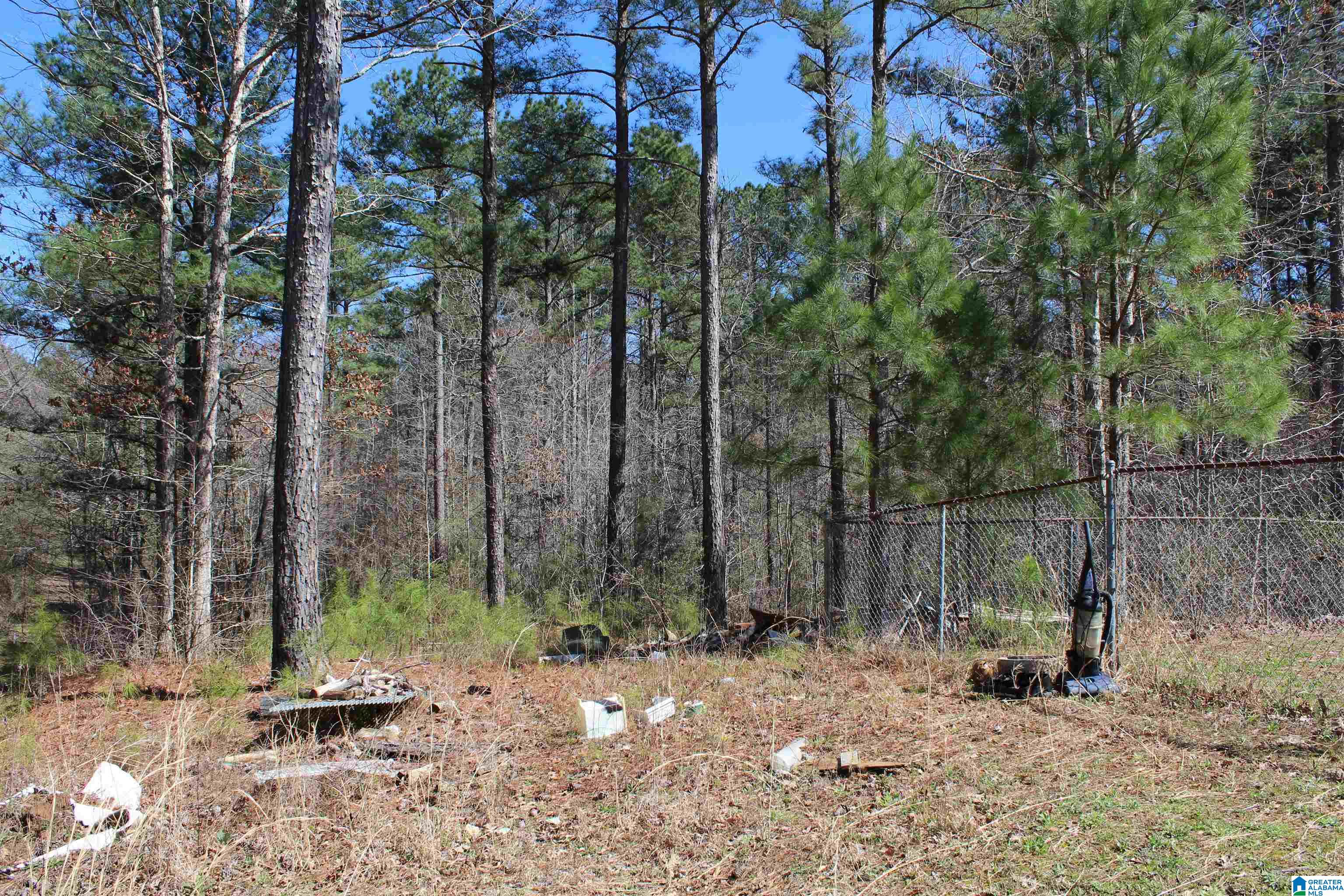 496 Rocky Rdg Road Odenville, AL 35120 - Photo 14 of 14