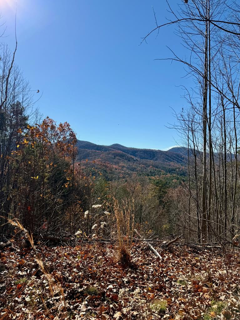 Lot 13 View Ridge Trail Murphy, NC 28906 - Photo 8 of 11