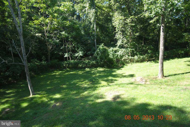 324 White Hall Road Winchester, VA 22603 - Photo 30 of 30 Exterior (Rear)