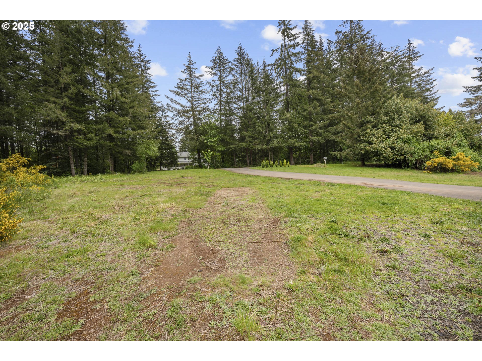 39665 Southeast Rude Road Sandy, OR 97055 - Photo 40 of 48 a view of a field with trees in the background