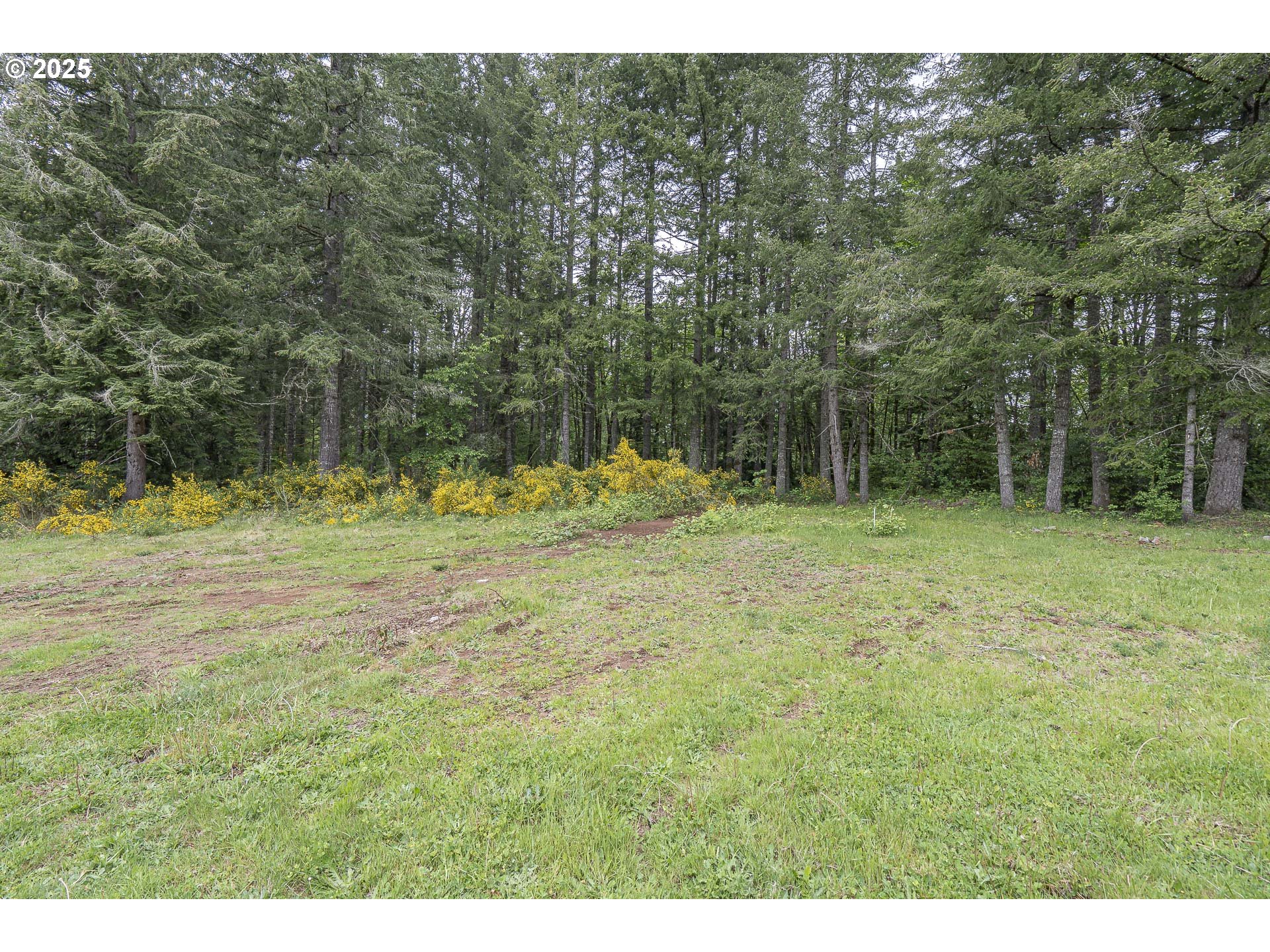 39665 Southeast Rude Road Sandy, OR 97055 - Photo 45 of 48 a view of outdoor space with trees all around