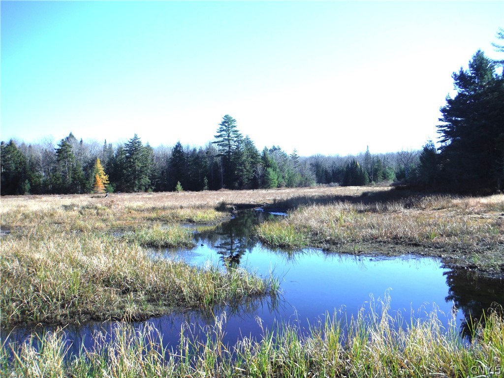 X Buck Lake Road Port Leyden, NY 13433 - Photo 3 of 50 Beaver Meadow