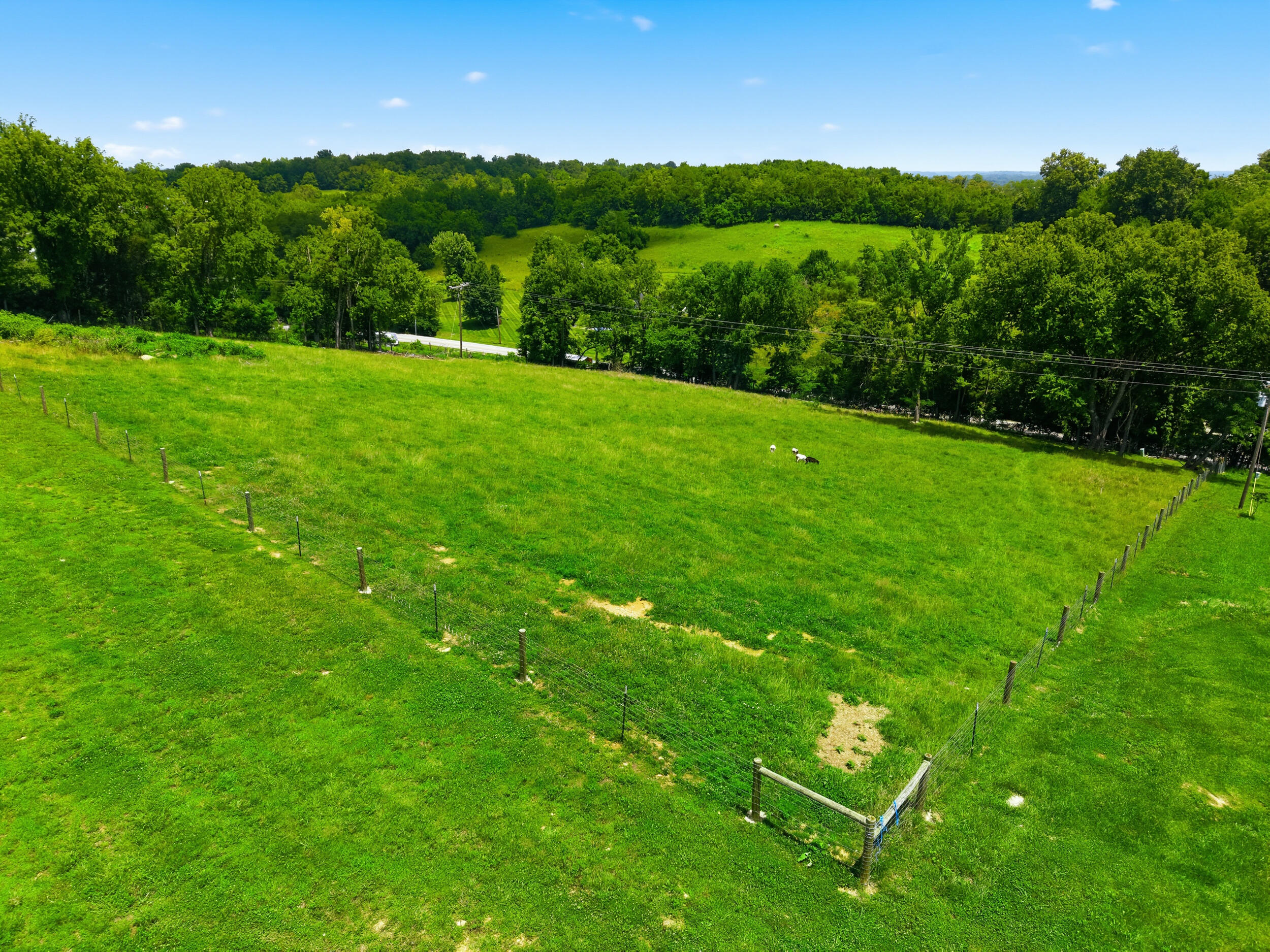 151 Kennedy Bridge Road Lancaster, KY 40444 - Photo 54 of 59 fenced pasture