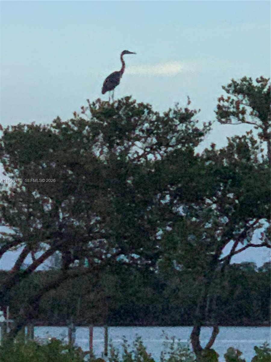 6102 Southeast Landing Way, Unit 14 Stuart, FL 34997 - Photo 45 of 45 Amazing Wildlife