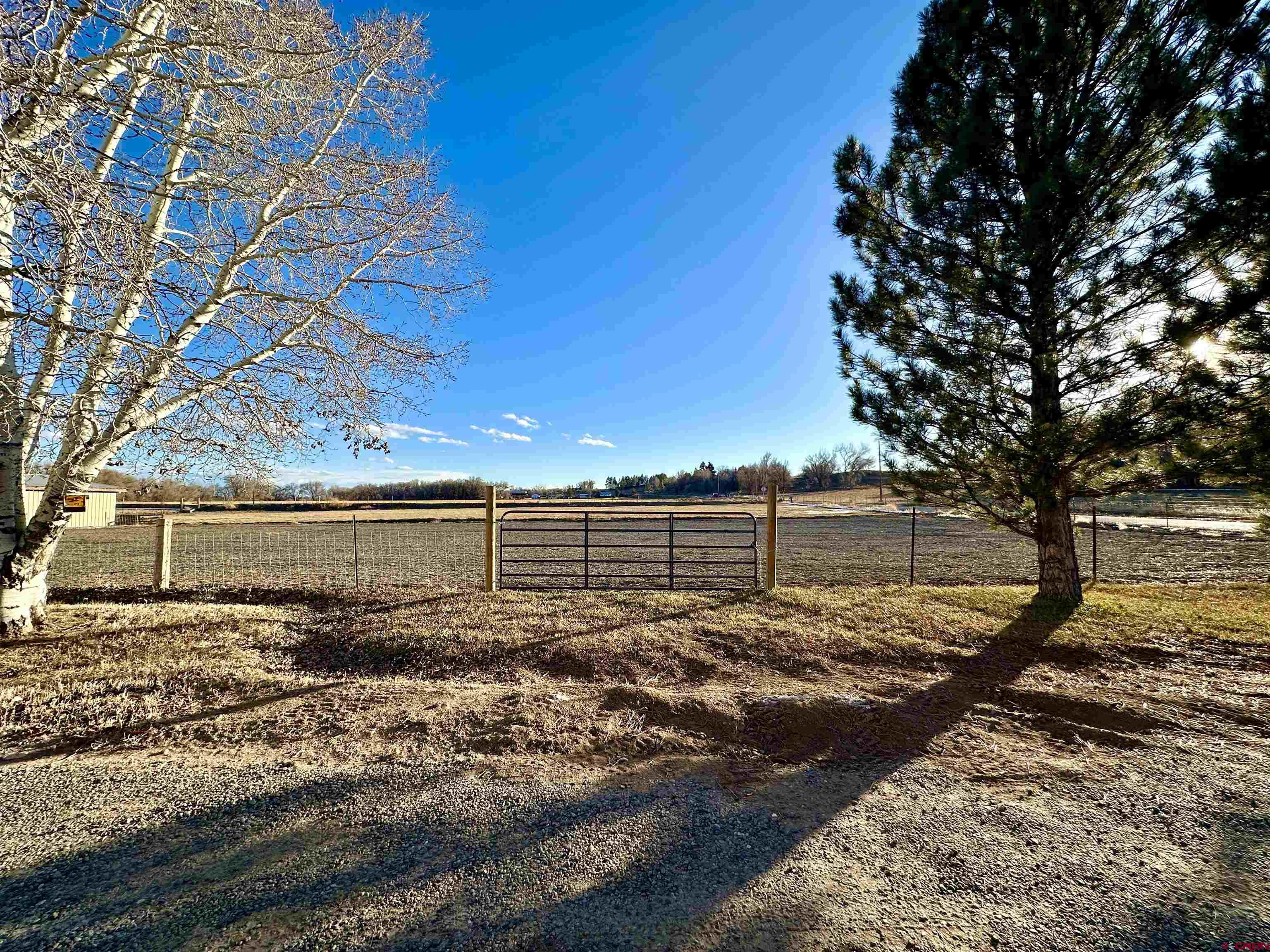 4956 1550 Road Delta, CO 81416 - Photo 9 of 35 a view of a yard with wooden fence