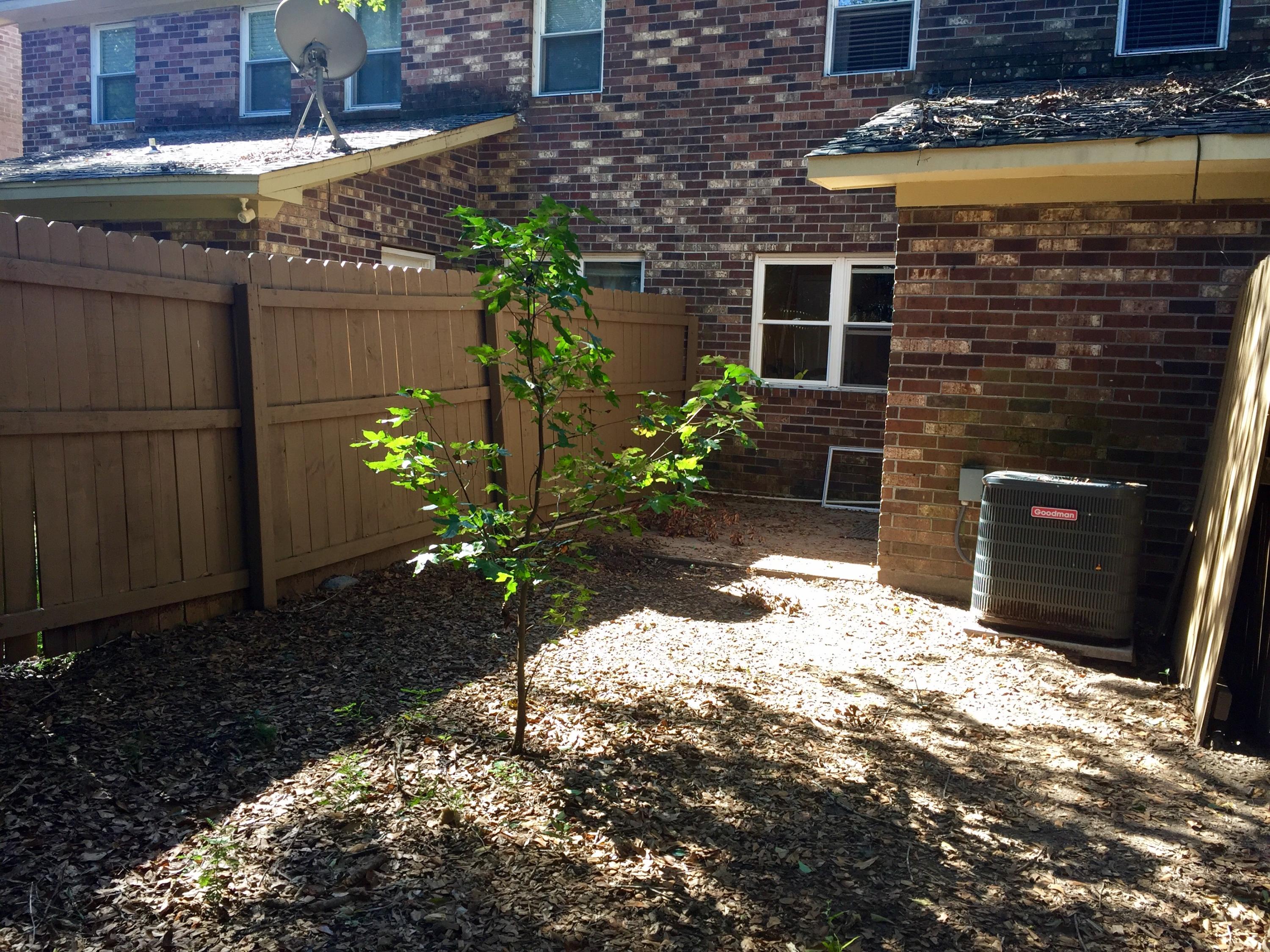 294 Fleming Road, Unit B Charleston, SC 29412 - Photo 11 of 11 Courtyard