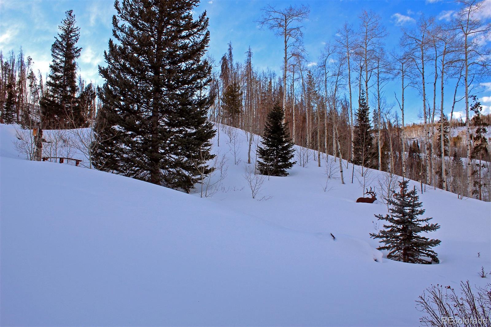 1436 Blue Ridge Road Silverthorne, CO 80498 - Photo 25 of 27 Gallery Image 25