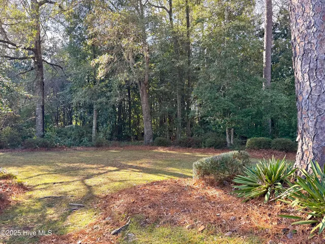 $172,000 | 711 Bryce Street, Whiteville, NC 28472