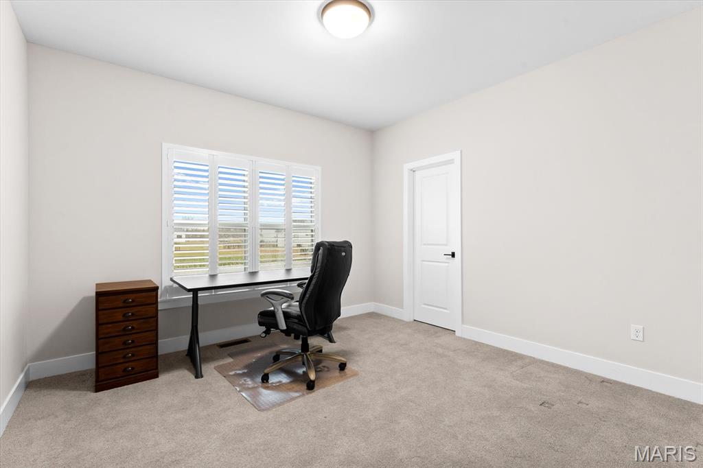 621 Tea Olive Boulevard O'Fallon, IL 62269 - Photo 6 of 40