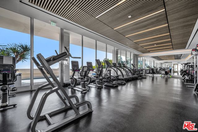 a room with wooden floor and potted plant