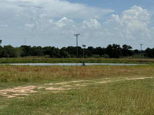 a view of a swimming pool and a yard
