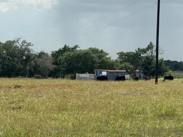 a swimming pool with a yard