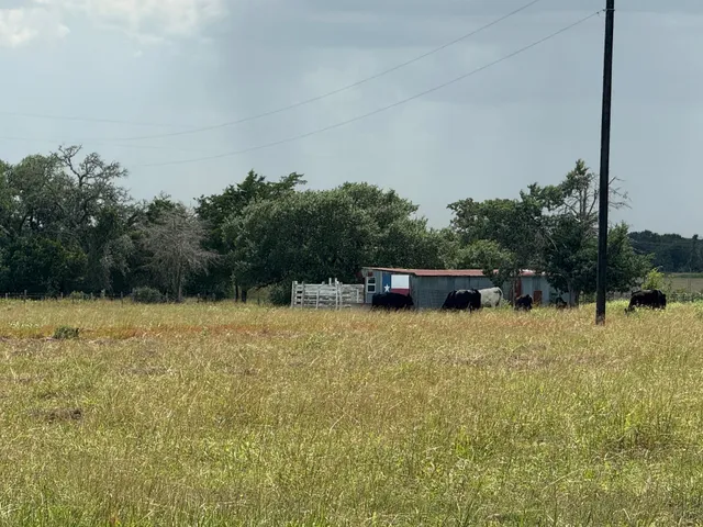 a swimming pool with a yard